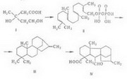 синтез аденозинтрифосфата (атф)